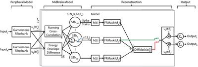 A biologically oriented algorithm for spatial sound segregation